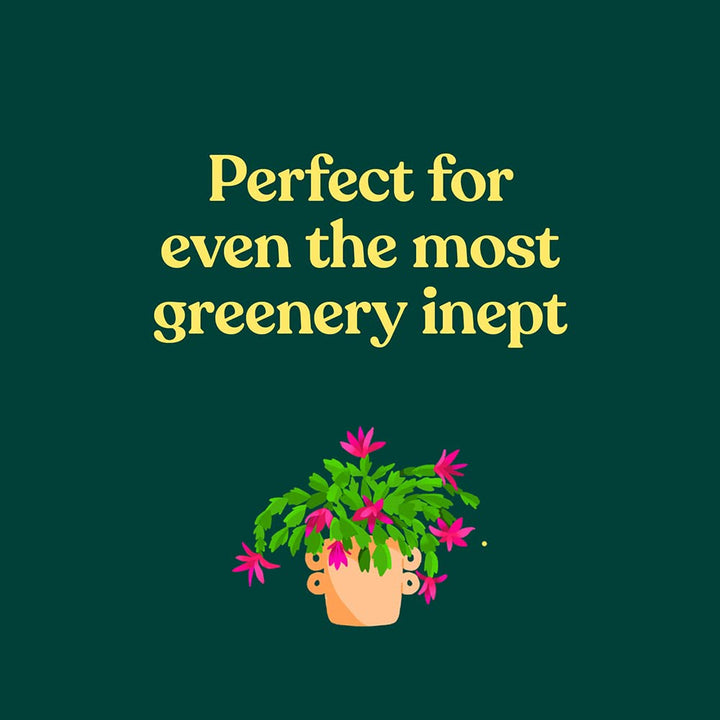 Chronicle Books | Green Dumb Guide to Houseplants | Shut the Front Door