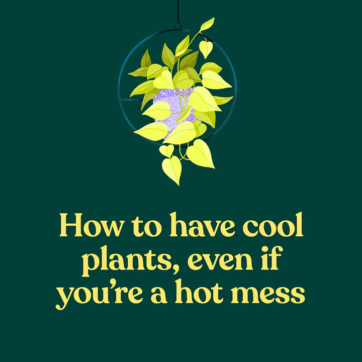Chronicle Books | Green Dumb Guide to Houseplants | Shut the Front Door
