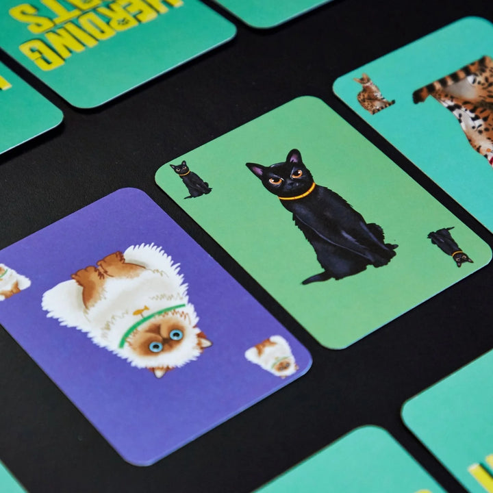 Clarendon Games | Herding Cats | Shut the Front Door