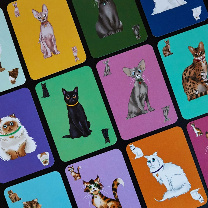 Clarendon Games | Herding Cats | Shut the Front Door