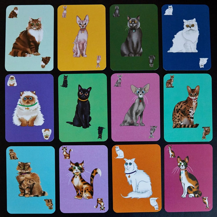 Clarendon Games | Herding Cats | Shut the Front Door