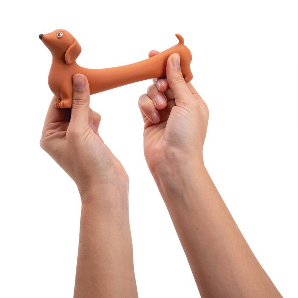 Discovery Zone | Stretchy Sausage Dog - Orange | Shut the Front Door