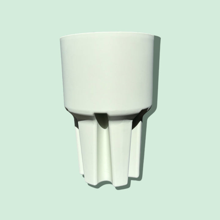 Willy and Bear | Car Cup Holder - Kiwi | Shut the Front Door