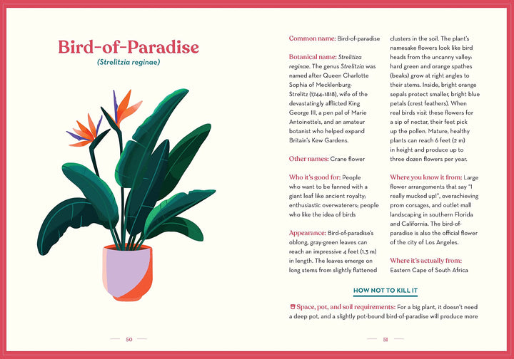 Chronicle Books | Green Dumb Guide to Houseplants | Shut the Front Door