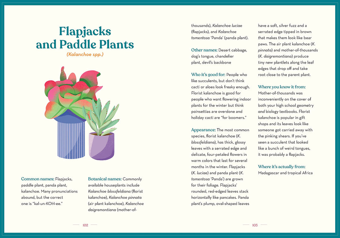 Chronicle Books | Green Dumb Guide to Houseplants | Shut the Front Door