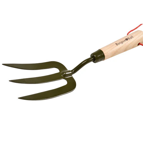 Burgon & Ball | Boron Green Hand Fork RHS | Shut the Front Door