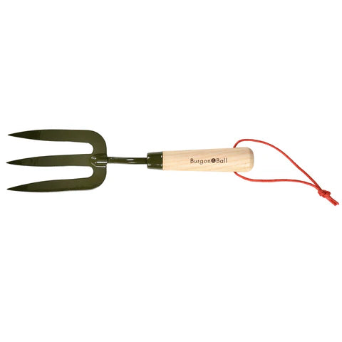 Burgon & Ball | Boron Green Hand Fork RHS | Shut the Front Door