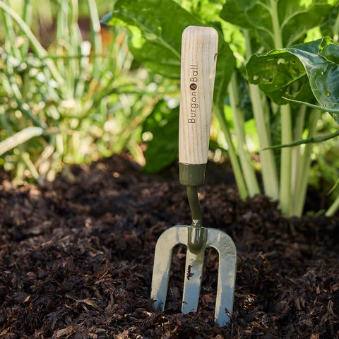 Burgon & Ball | Boron Green Hand Fork RHS | Shut the Front Door