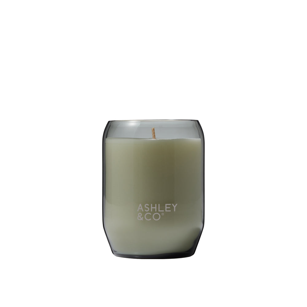 Ashley & Co | Waxed Perfume Candle - Parakeets & Pearls | Shut the Front Door