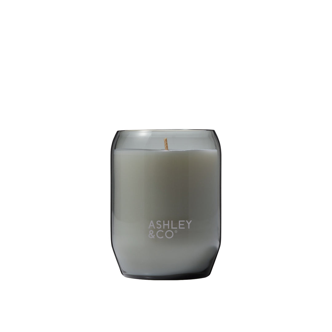 Ashley & Co | Waxed Perfume Candle - Tui & Kahili | Shut the Front Door