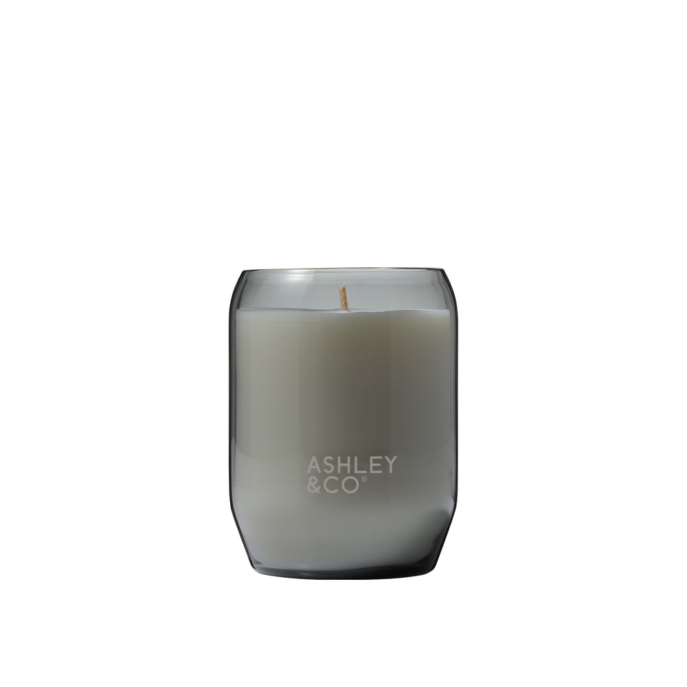 Ashley & Co | Waxed Perfume Candle - Vine & Paisley | Shut the Front Door