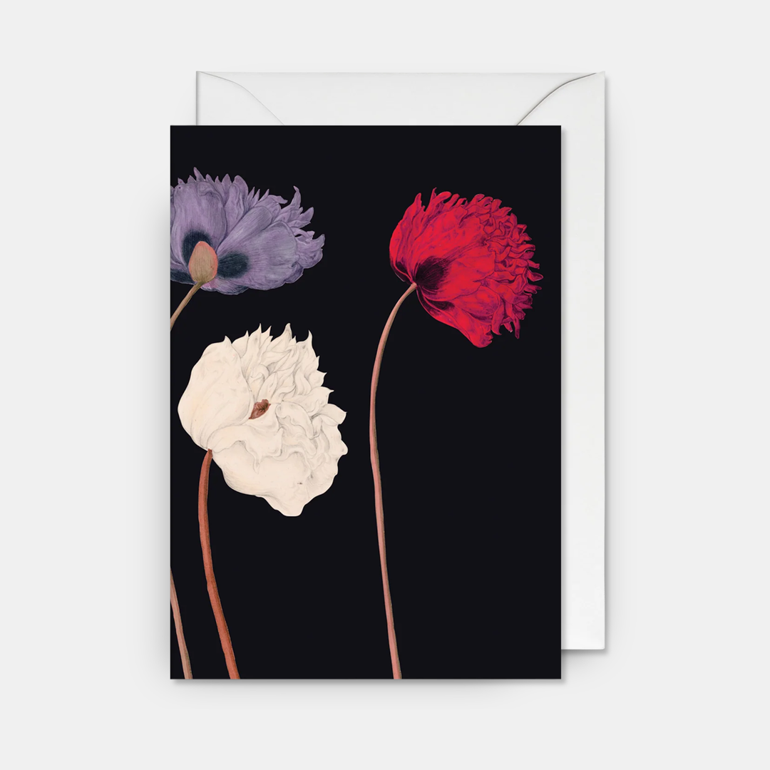 Lagom | Card 3 Poppies | Shut the Front Door