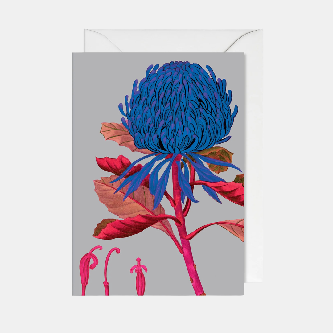 Lagom | Card Telopea | Shut the Front Door