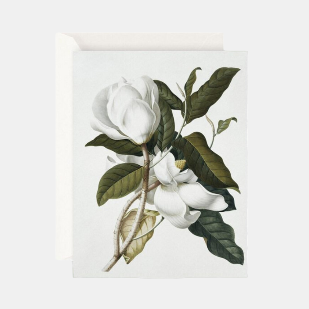 Father Rabbit | Gardenia Card | Shut the Front Door