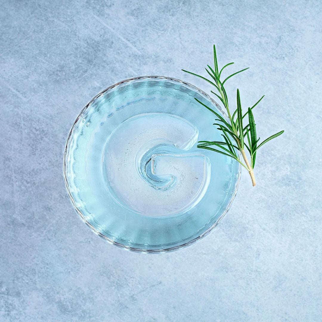 Drinks Plinks | Ice Cube Tray - G for Gin Lovers | Shut the Front Door