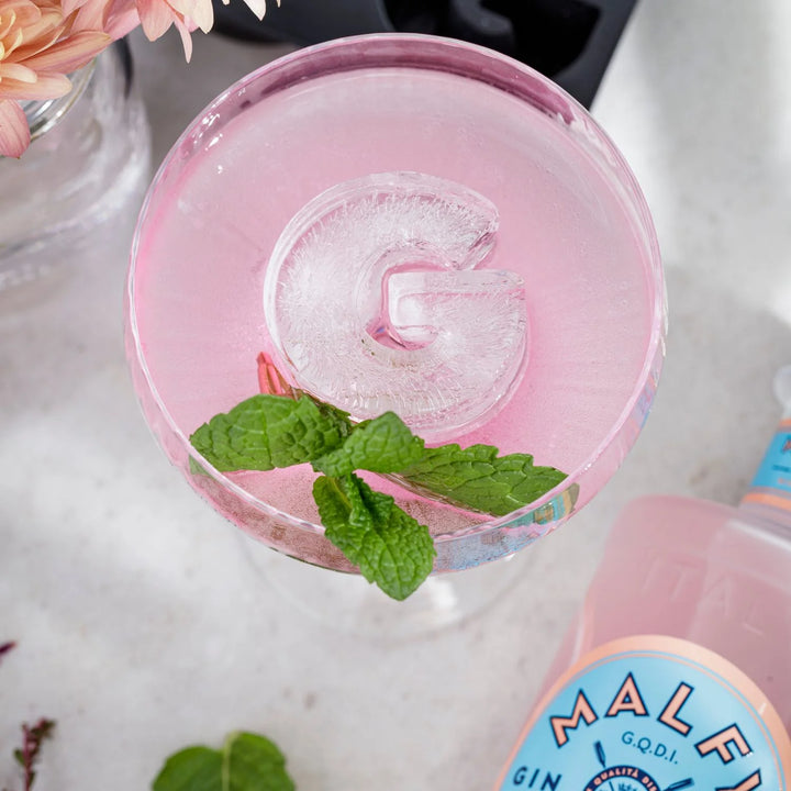Drinks Plinks | Ice Cube Tray - G for Gin Lovers | Shut the Front Door