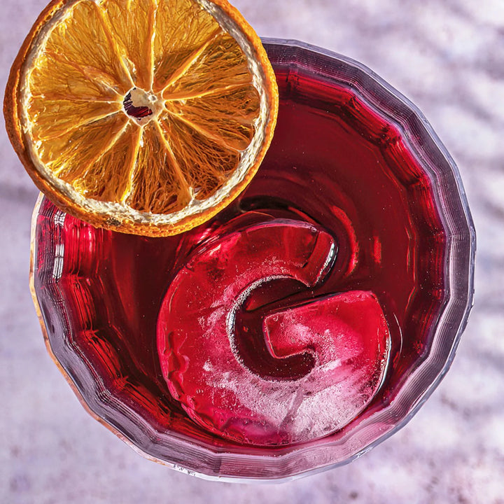 Drinks Plinks | Ice Cube Tray - G for Gin Lovers | Shut the Front Door