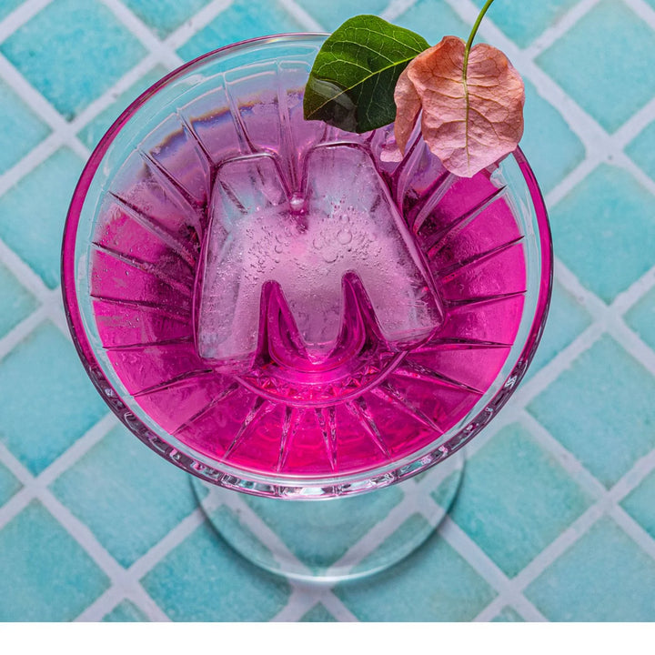 Drinks Plinks | Ice Cube Tray - M for Margarita Lovers | Shut the Front Door