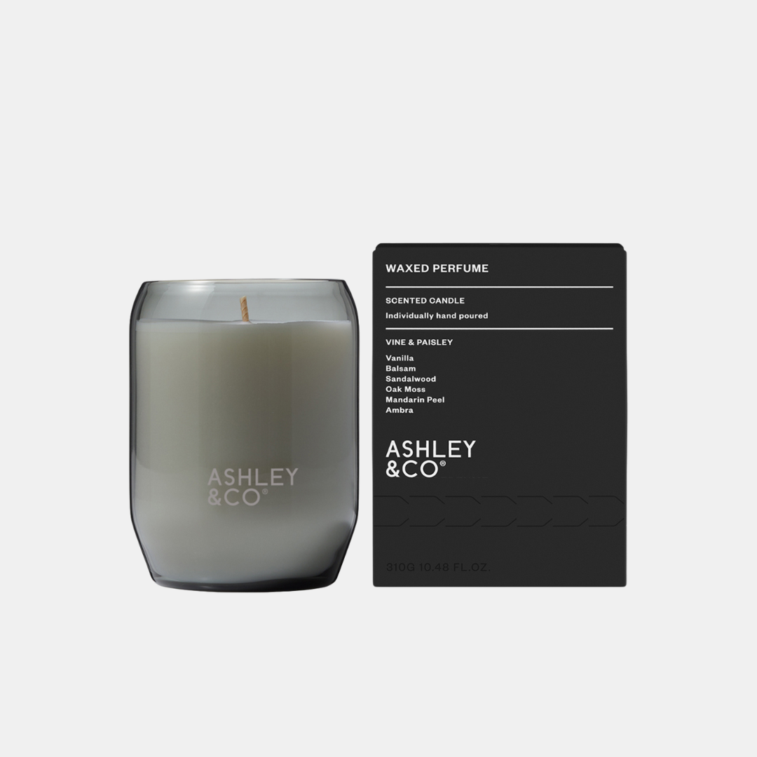 Ashley & Co | Waxed Perfume Candle - Vine & Paisley | Shut the Front Door