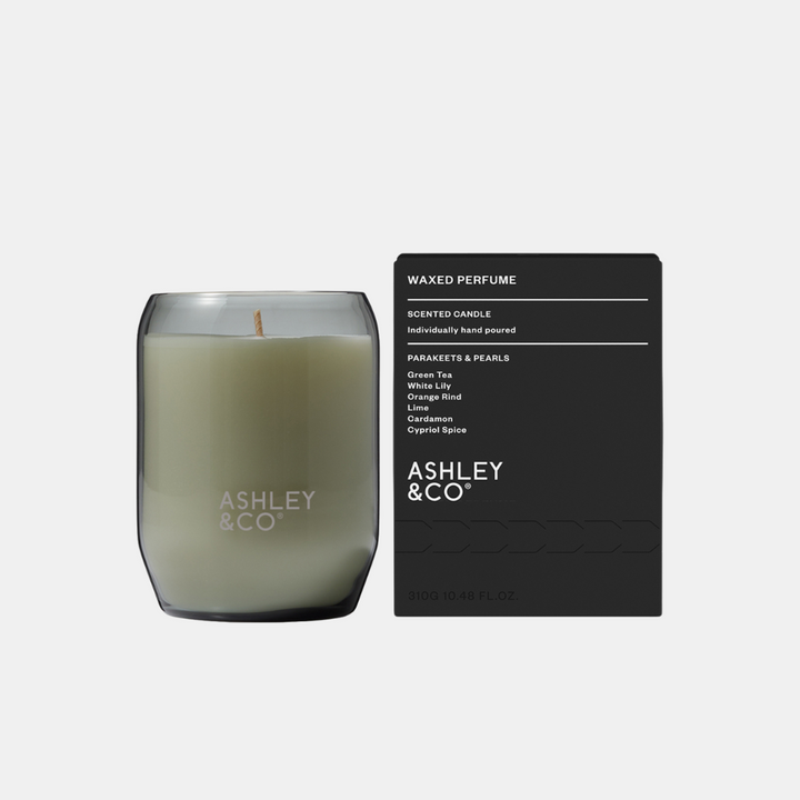 Ashley & Co | Waxed Perfume Candle - Parakeets & Pearls | Shut the Front Door