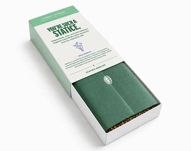 Everyday Wonders | Everyday Wonders Seed Kit - Statice | Shut the Front Door