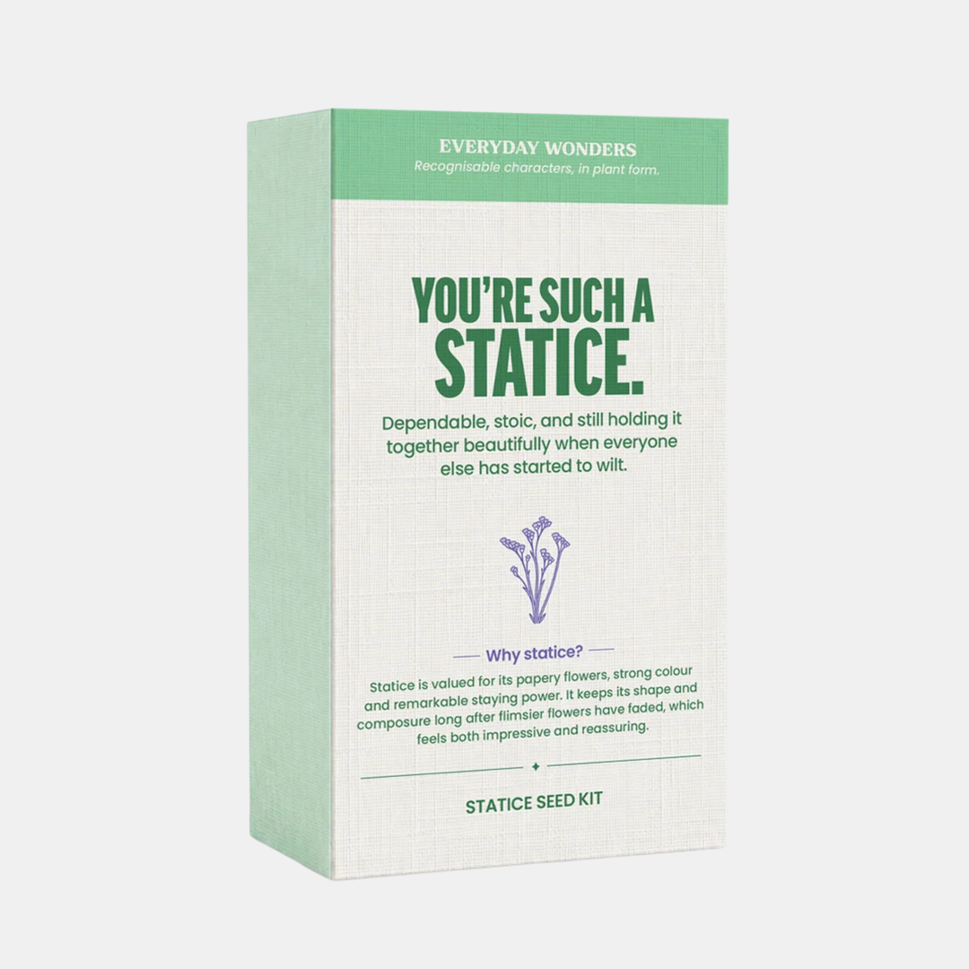 Everyday Wonders | Everyday Wonders Seed Kit - Statice | Shut the Front Door