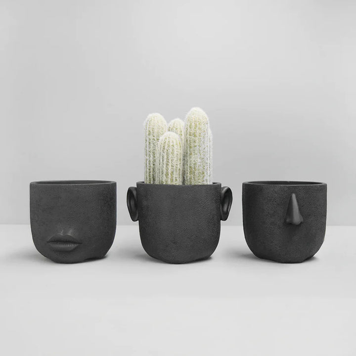 White Moose | Face Planter Set  of 3 - Black | Shut the Front Door