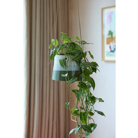 hanging pot plants nz Collectors Hanging Pot Blue & Green 12.5cm | Burgon & Ball