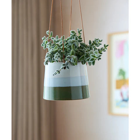 Collectors Hanging Pot Blue & Green 9.5cm