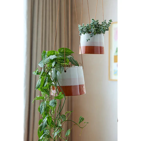 hanging pot plants nz Collectors Hanging Pot Terracotta/Blush 12.5cm | Burgon & Ball