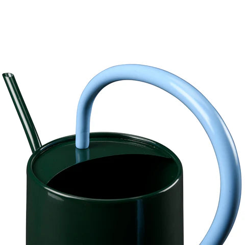 Scalloped Indoor Watering Can - Dark Green