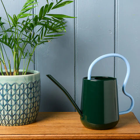 Scalloped Indoor Watering Can - Dark Green