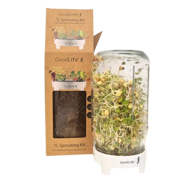 Sprouting Jar - 1ltr Gift Box