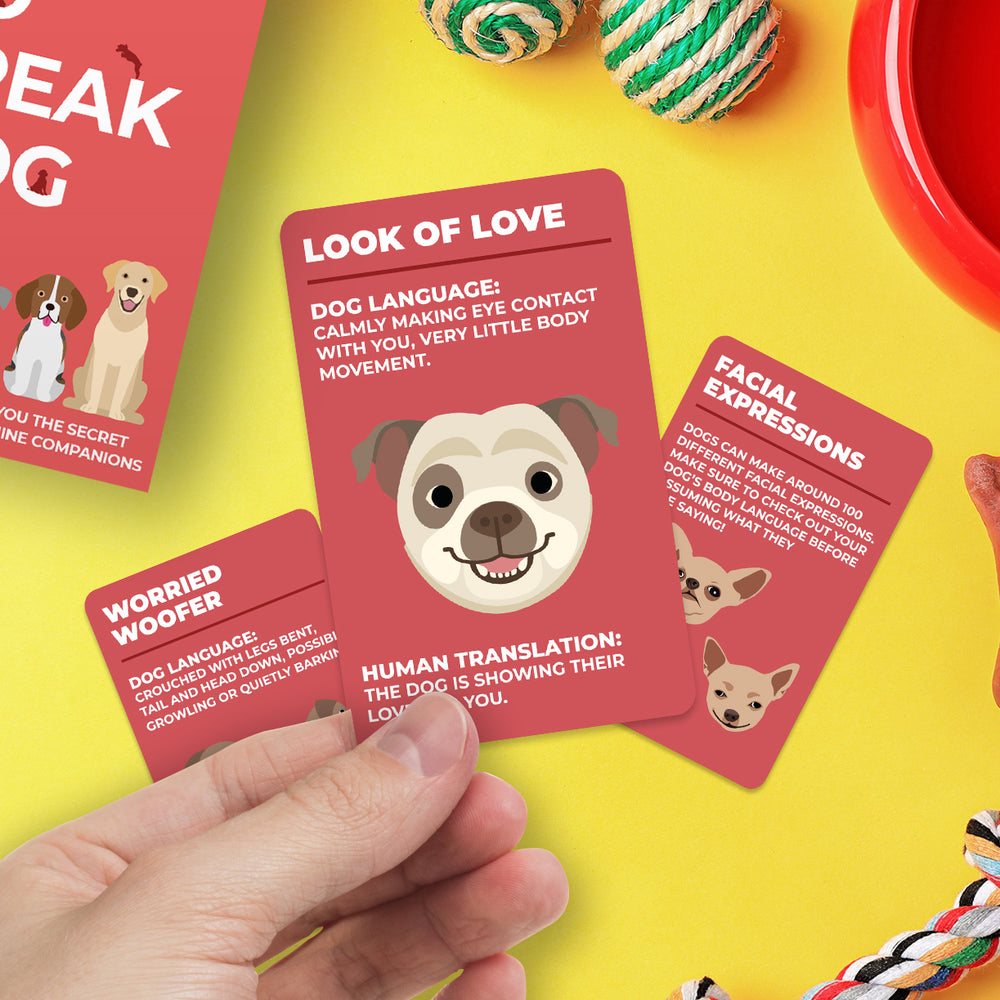 Gift Republic | How to Speak Dog | Shut the Front Door