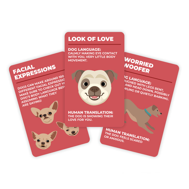 Gift Republic | How to Speak Dog | Shut the Front Door