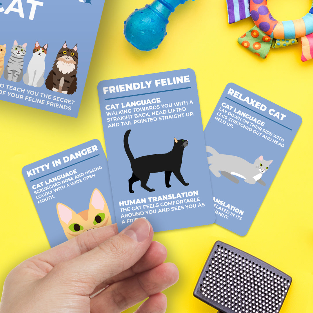 Gift Republic | How to Speak Cat | Shut the Front Door