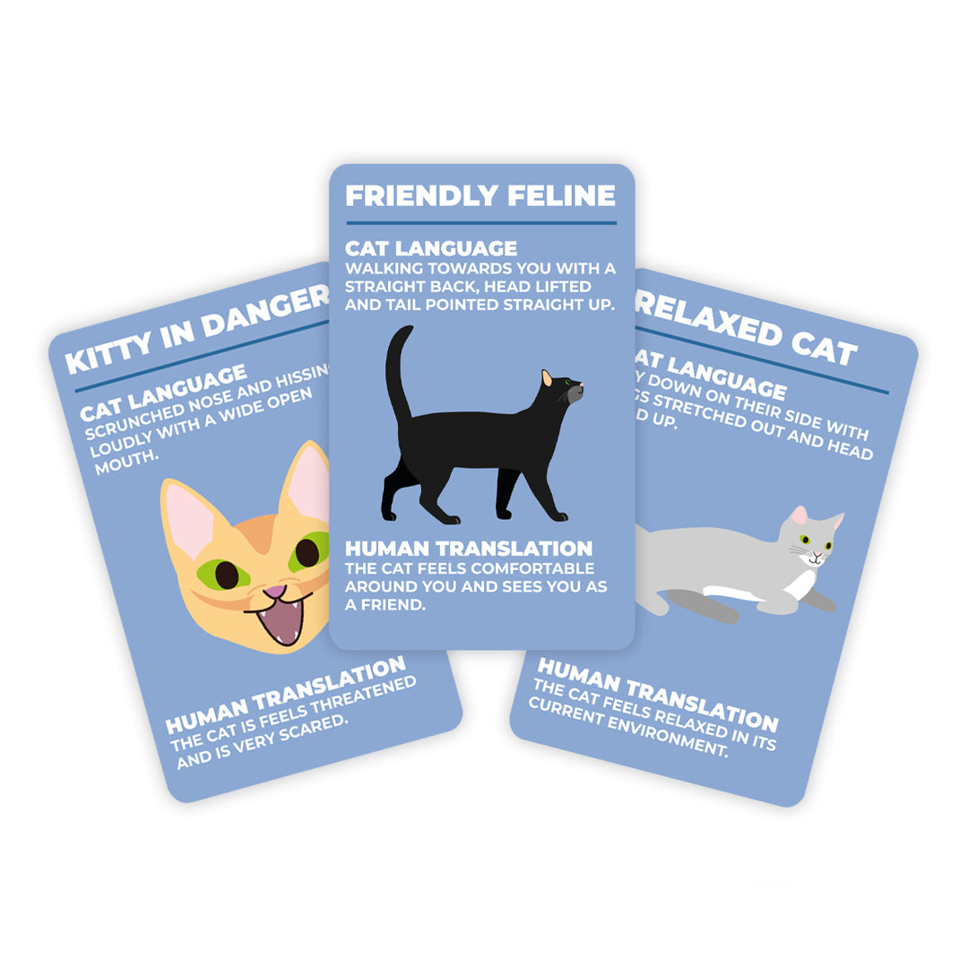 Gift Republic | How to Speak Cat | Shut the Front Door