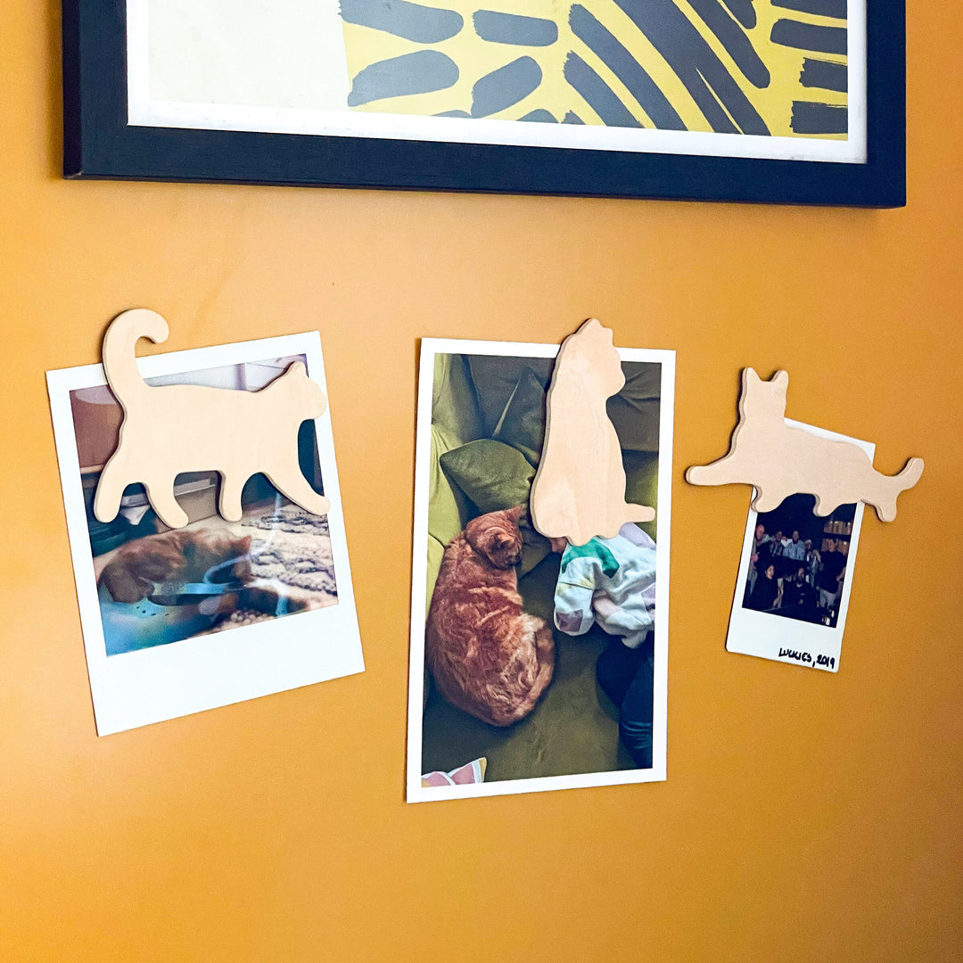 Fridge Magnets Cats