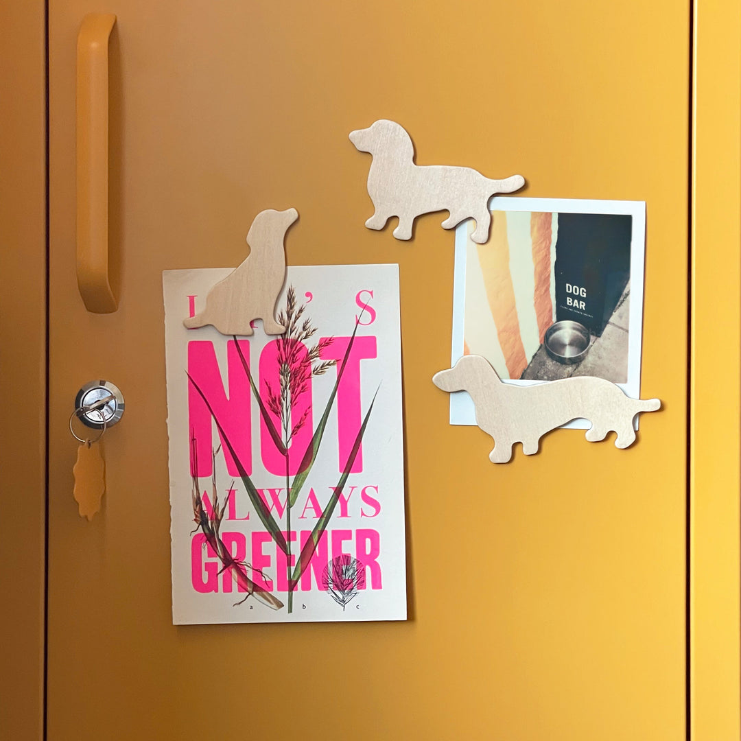 Fridge Magnets Cats