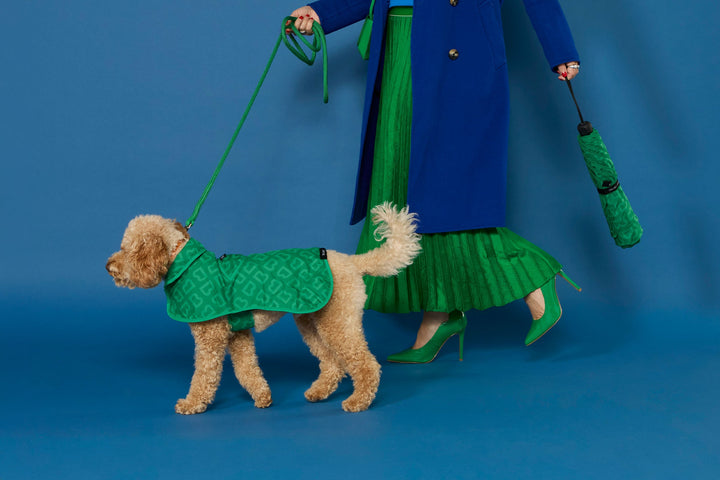 Blunt | Blunt Umbrella Metro X Green Monogram | Shut the Front Door