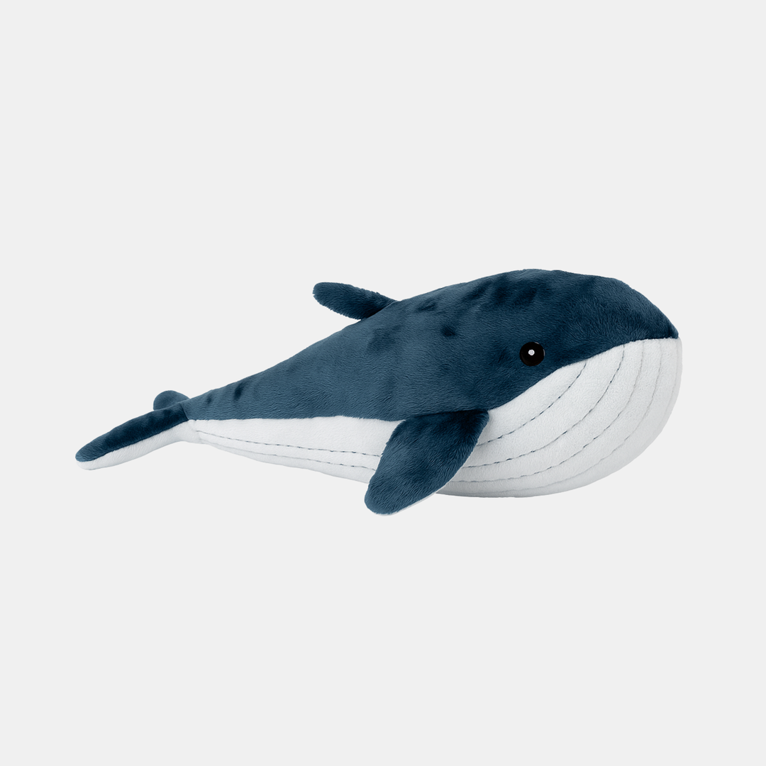 Lily and George | Lulu the Whale | Shut the Front Door