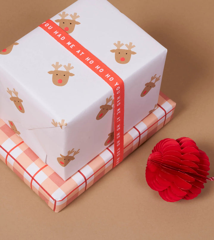 Gift Wrap Roll - Rudolph 3m - Toffee