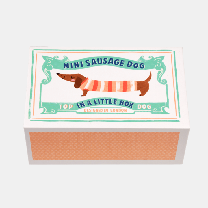Mini Sausage Dog in a Little Box