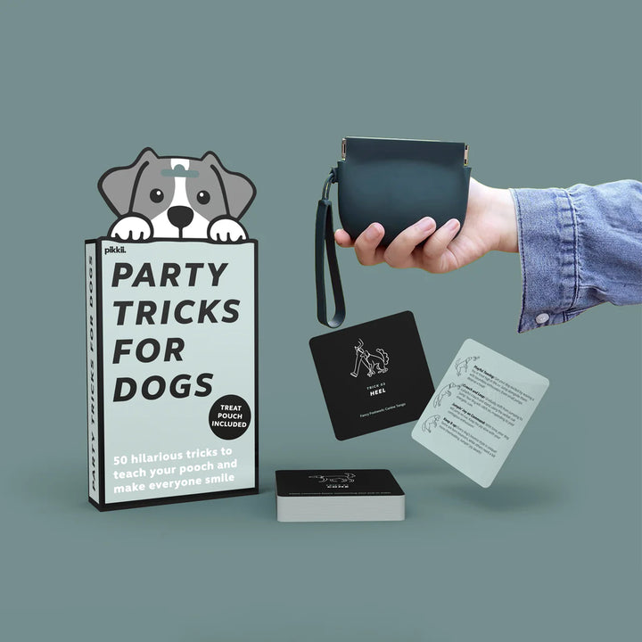 Party Tricks For Dogs
