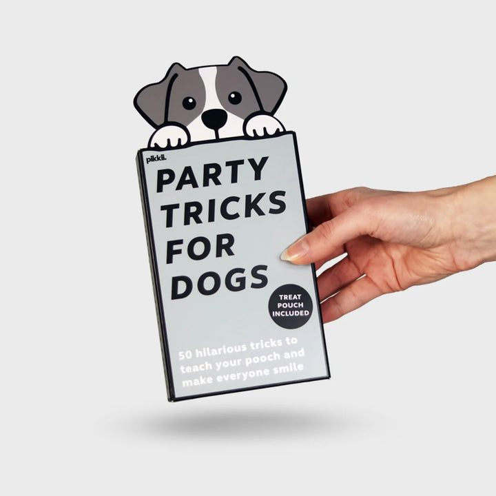 Party Tricks For Dogs
