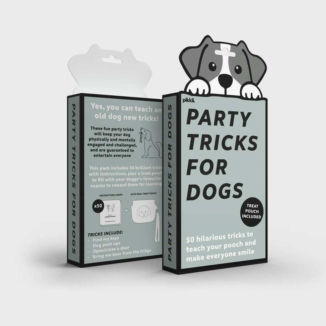 Party Tricks For Dogs