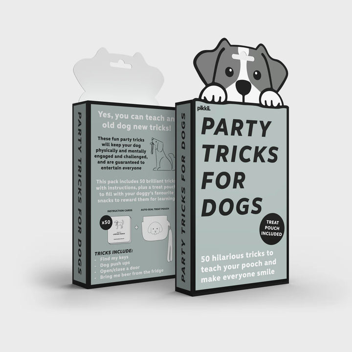 Party Tricks For Dogs
