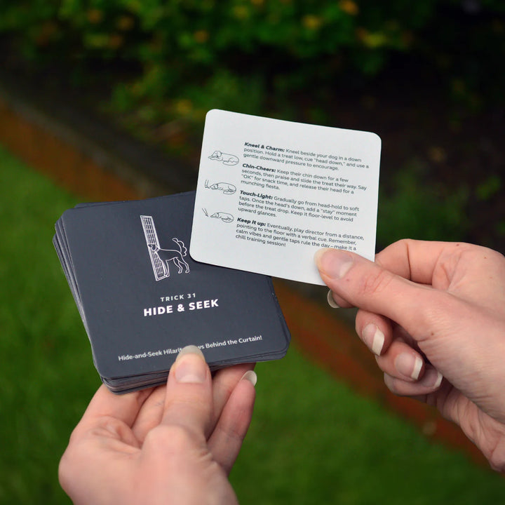 Party Tricks For Dogs