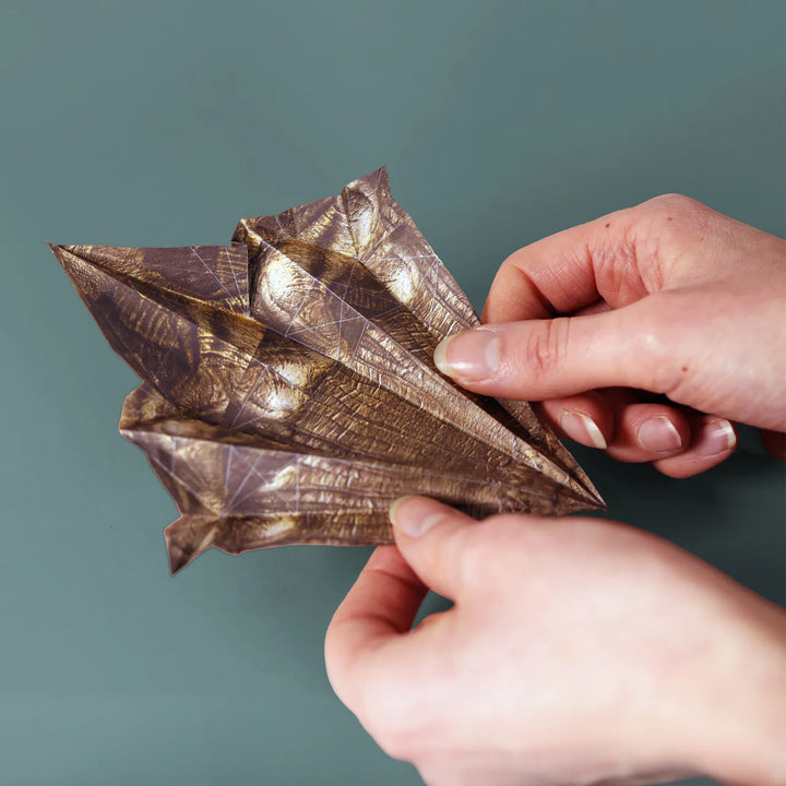 Fold Your Own - Paper Dinos