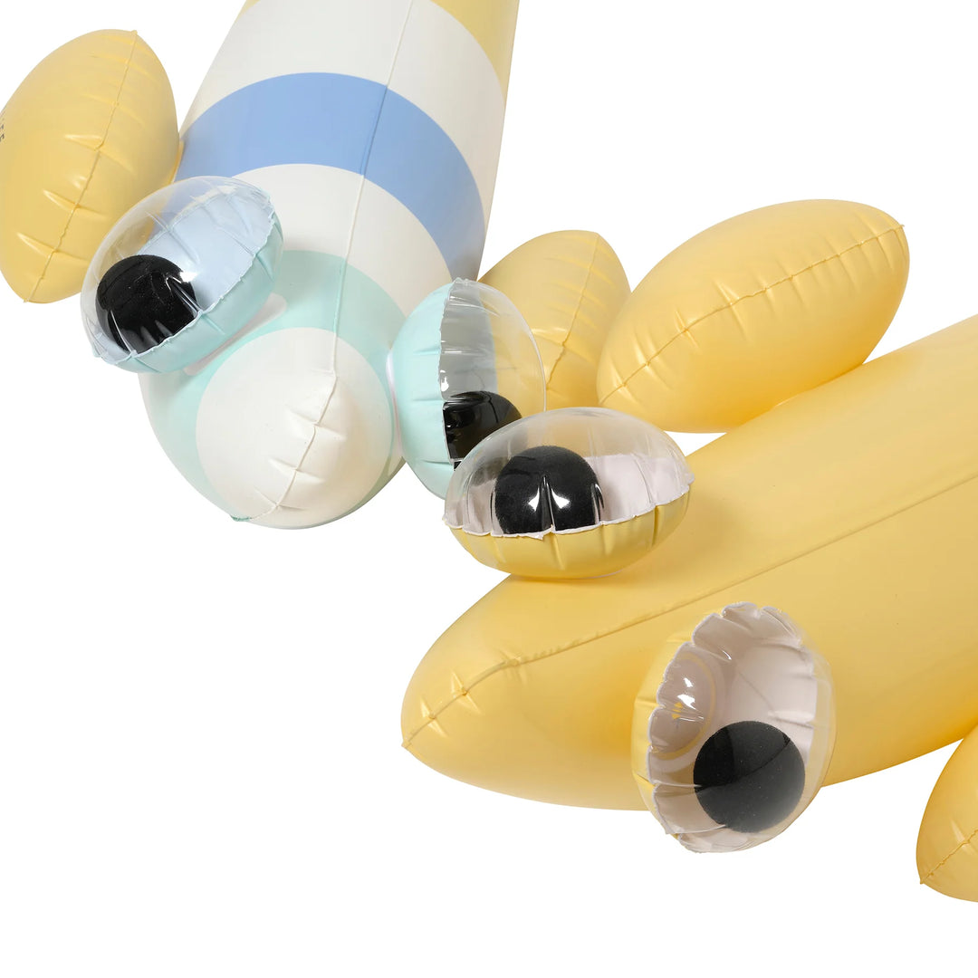 Sunnylife | Kids Inflatable Noodle - Finn the Fish Multi S2 | Shut the Front Door